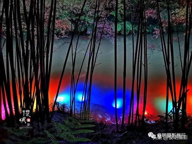 贵州赤水旅游攻略景点大全（被多少人忽略的旅行圣地）(22)