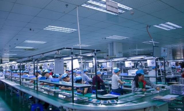 蚊子有什么用为什么不灭绝(蚊子在地球上到底有什么用)(14)