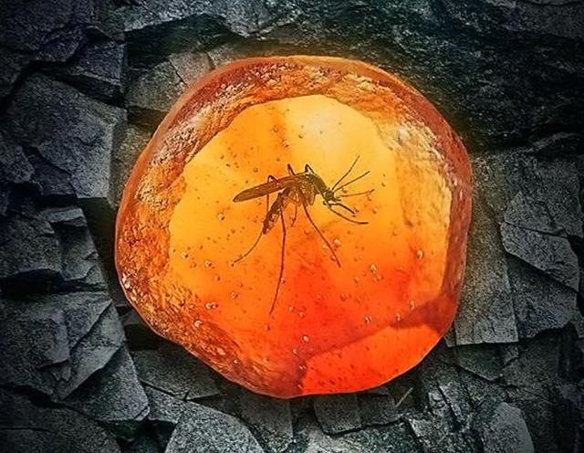 蚊子有什么用为什么不灭绝(蚊子在地球上到底有什么用)(15)