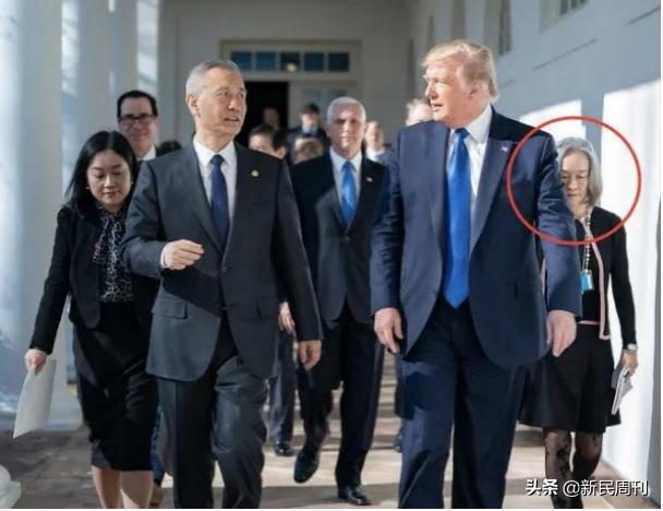 紫发女翻译是谁（紫发女翻车美国官方的中文翻译为什么一蟹不如一蟹）(6)