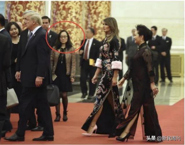 紫发女翻译是谁（紫发女翻车美国官方的中文翻译为什么一蟹不如一蟹）(5)