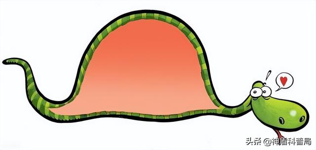 为什么蛇不敢吃黄鳝(蛇吃黄鳝是在找死)(15)