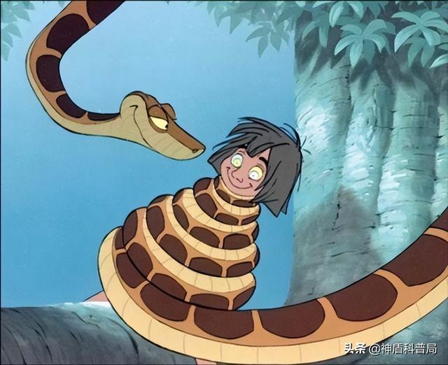 为什么蛇不敢吃黄鳝(蛇吃黄鳝是在找死)(13)