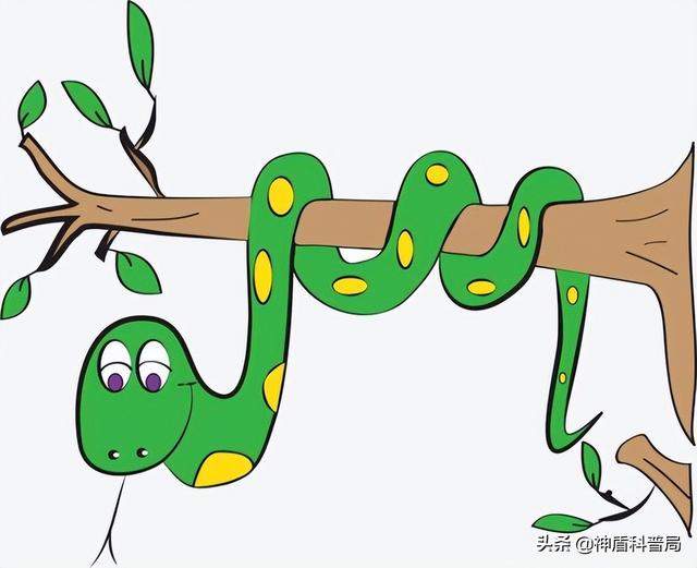 为什么蛇不敢吃黄鳝(蛇吃黄鳝是在找死)(6)