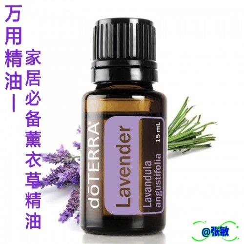 熏衣草精油一瓶多少钱 100 纯精油 怎样用法