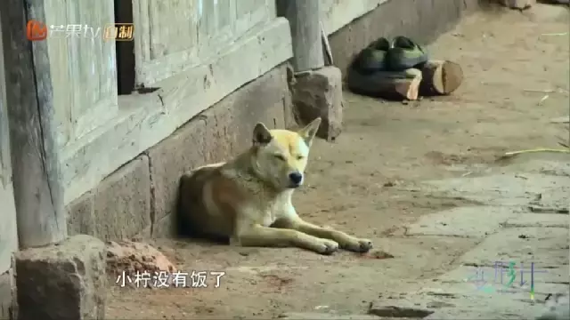 姚珠龙(变形计姚珠龙现状)