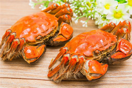 孕妇能吃大闸蟹吗