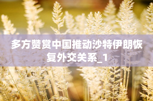多方赞赏中国推动沙特伊朗恢复外交关系_1