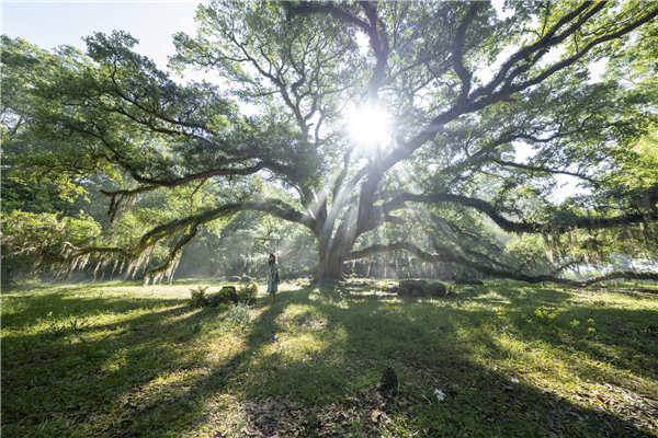 《沼泽深处的女孩》曝首支预告 沼泽女孩深陷罪案迷雾(图6) 《沼泽深处的女孩》曝首支预告 沼泽女孩深陷罪案迷雾(图6)