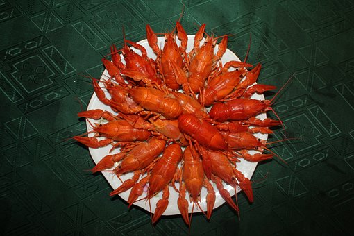 crayfish-3631932__340.jpg