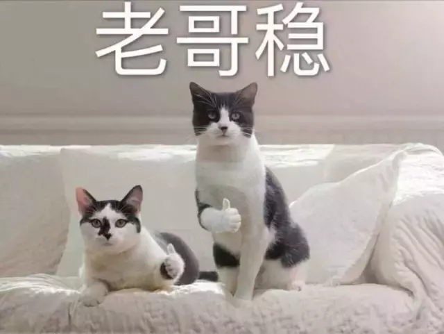 姚珠龙(变形计姚珠龙现状)