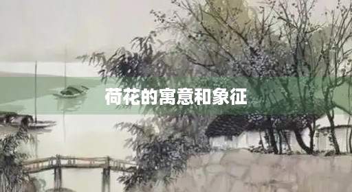 荷花的寓意和象征