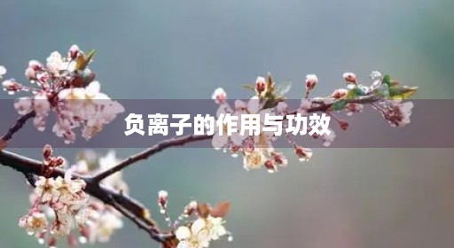 负离子禁忌吸氧净化器空气净化冰箱制氧机功效十大身体发生器面部净化器的十大禁忌衣服作用分析分析净化器内衣空气作用与禁忌衣服吸氧净化器制氧机功效负离子