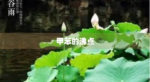 甲苯的沸点