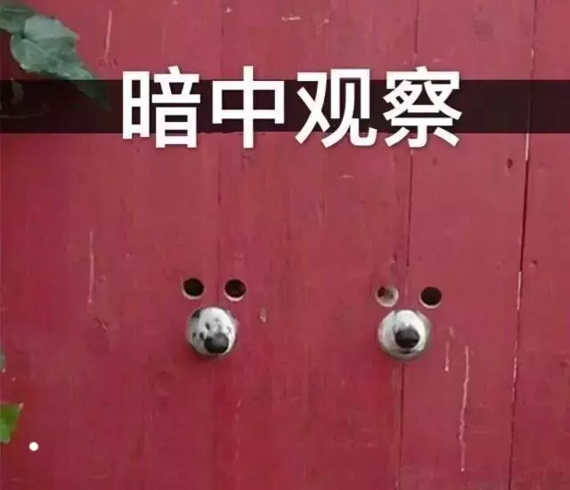 姚珠龙(变形计姚珠龙现状)